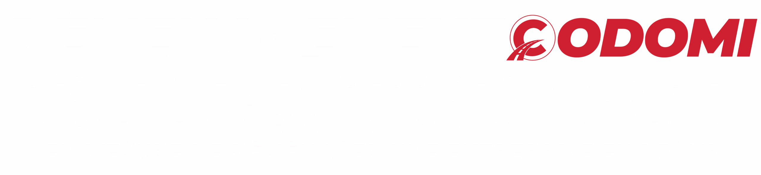 LIVRAISON EXPRESS LAC ST-JEAN