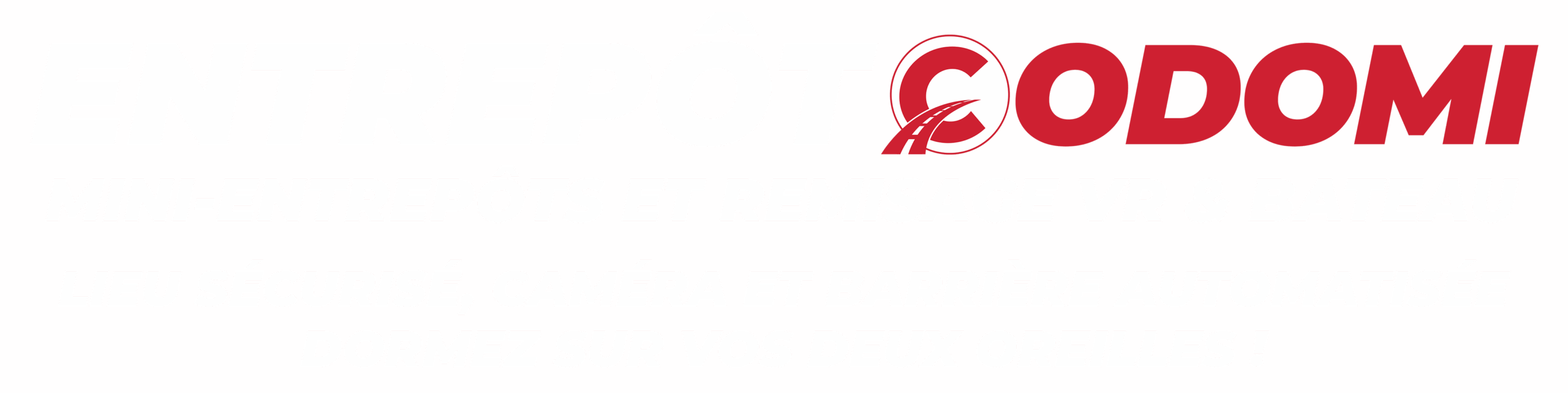 LIVRAISON EXPRESS LAC ST-JEAN