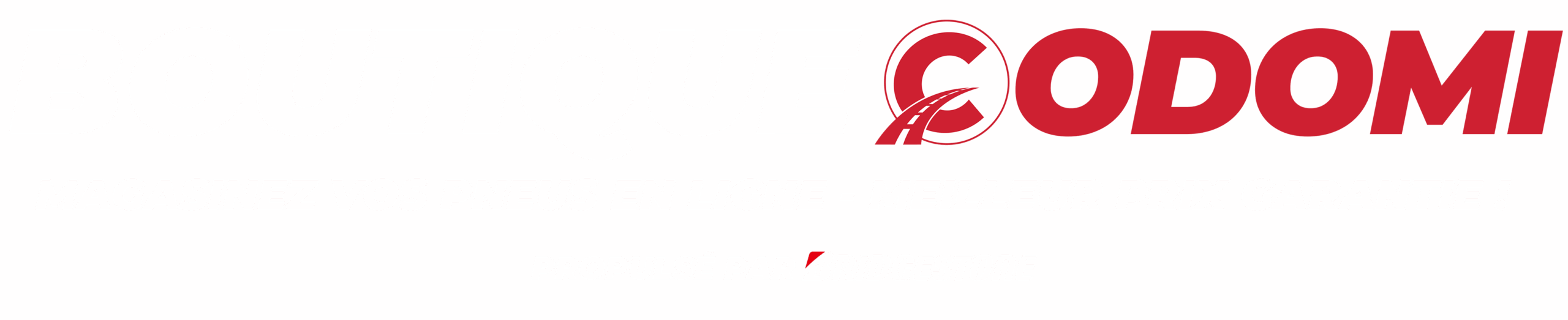 LIVRAISON EXPRESS LAC ST-JEAN