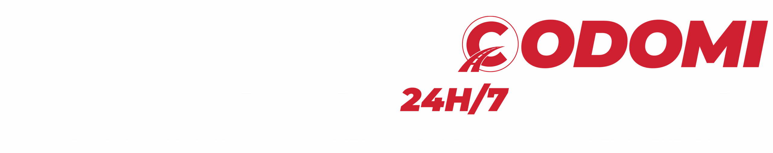 LIVRAISON EXPRESS LAC ST-JEAN