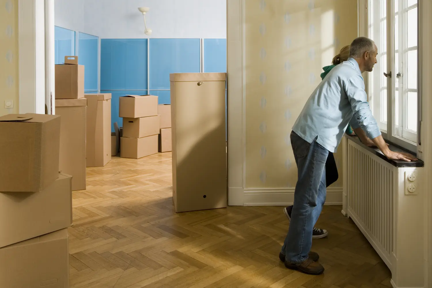 DEMENAGEMENT ALBANEL